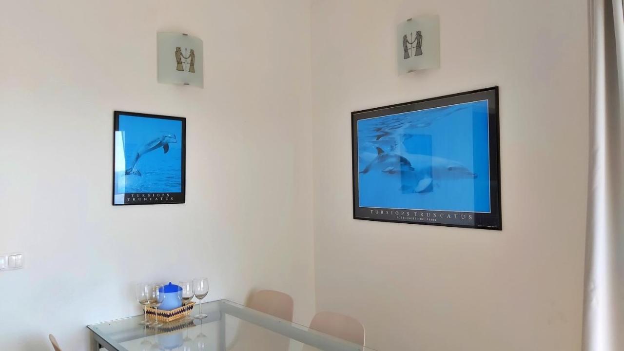 Apartments Borak 오미스 외부 사진